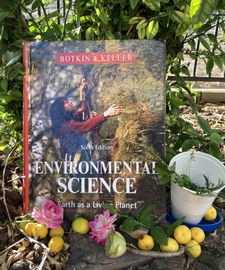 Environmental+Science+%28APES%29+students+discuss+their+experiences+in+the+class%2C+which+poses+the+question--is+APES+Ayalas+easiest+AP+or+simply+mimicry%3F+While+some+find+the+content-heavy+memorization+challenging%2C+others+find+its+hands-on+learning+style+fitting+for+those+hesitant+to+take+a+science+AP+course.+