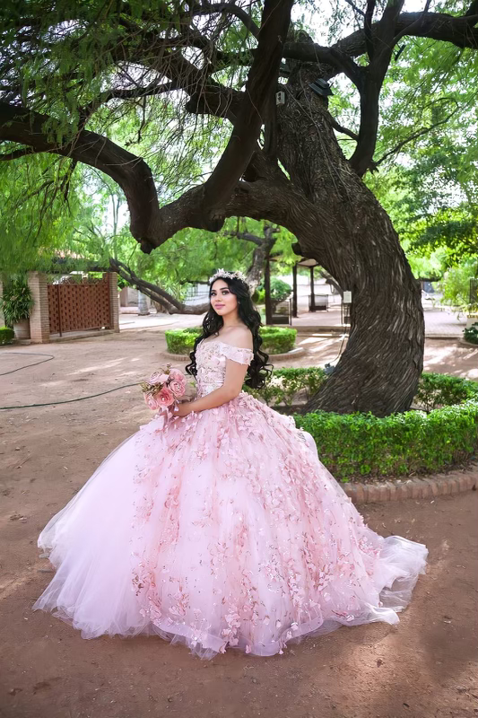 Debhany Flores (10) poses for her quinceañera, draped in a confetti pink floral gown.