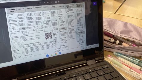 Registration for classes has students questioning what classes they might want to take for next year.
