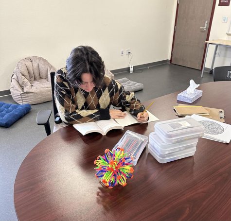 Although some may be excited for the end of the school year, many students are still cramming in studying for AP exams and finals in the upcoming weeks. 