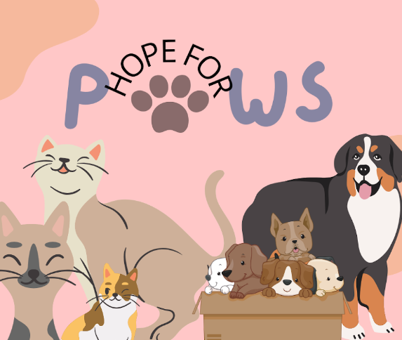 Hope for Paws is an volunteer-based organization with a focus on bringing a better life to local furry friends! Bulldogs of Ayala are encouraged to join the club to create special connections with the animals of Chino Hills and serve the community!