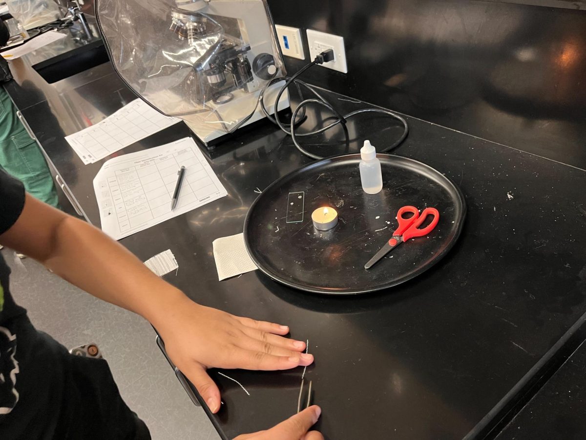 As the forensics biology course applies skills learned from other science classes, this class involves laboratory assignments that are geared towards real life forensics cases. In the image, students are seen getting ready to burn a fiber. 