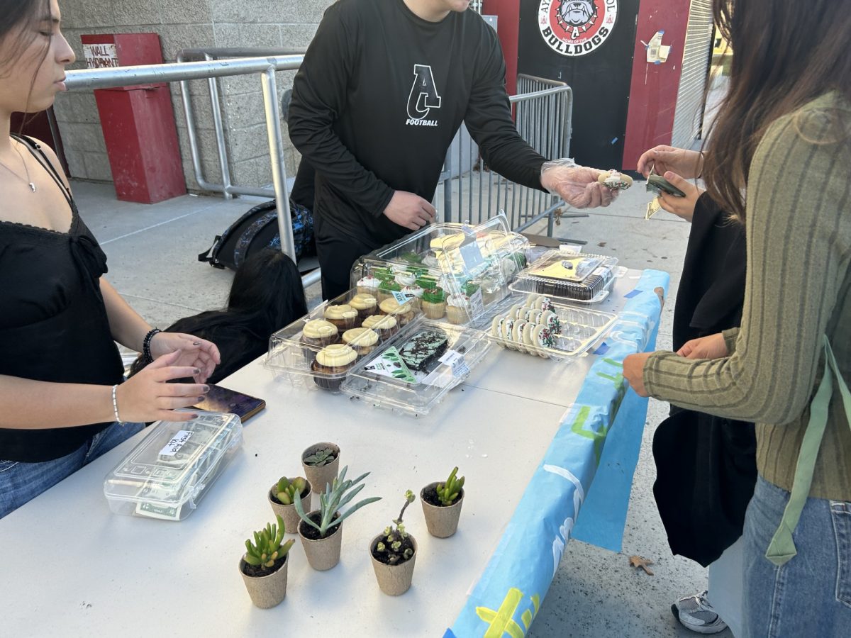 Delicacies such as cookies, cupcakes, and brownies were sold at last weeks bake sale alongside fresh succulents.
