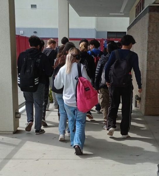 Have you ever tried walking from class to class, but ended up being stopped by a mob? Welcome to high school where people have more common sense in AP Calculus than they do while walking in the hallways.