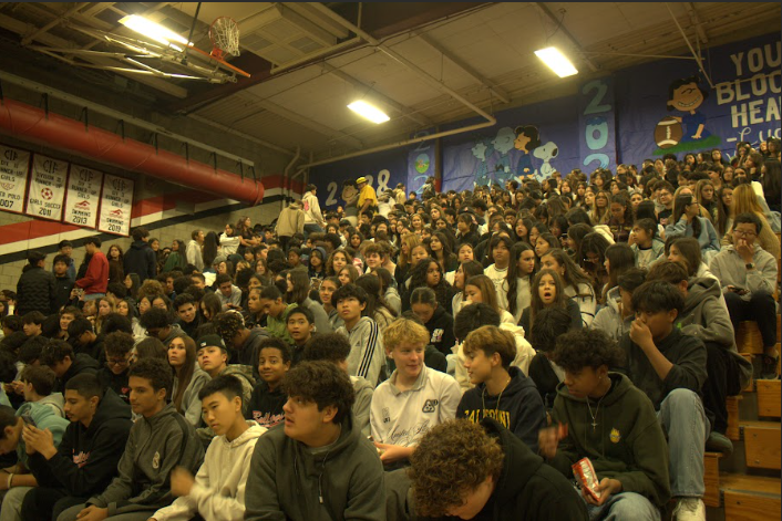 The second rally of the year which had the theme of "Peanuts" recognized winter sports, with different rally games and performances as well. "I do think that the juniors' class competition [performance] was really good, but I would say that everyone did great and put in a lot of effort," Kieza Martinez (10) said. "It definitely takes a lot to perform in front of a crowd so i'm very proud of everyone."