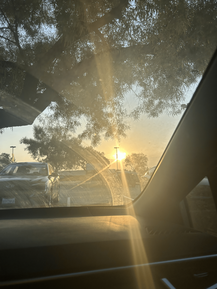 While our entire time in the public education system has felt like this continual rise towards the future, being the ongoing sunrise in our lives, senior year feels like a conclusion in most ways that rises and sets in its own way. So with graduation approaching and feelings of "the end" quickly arising, what will we miss?