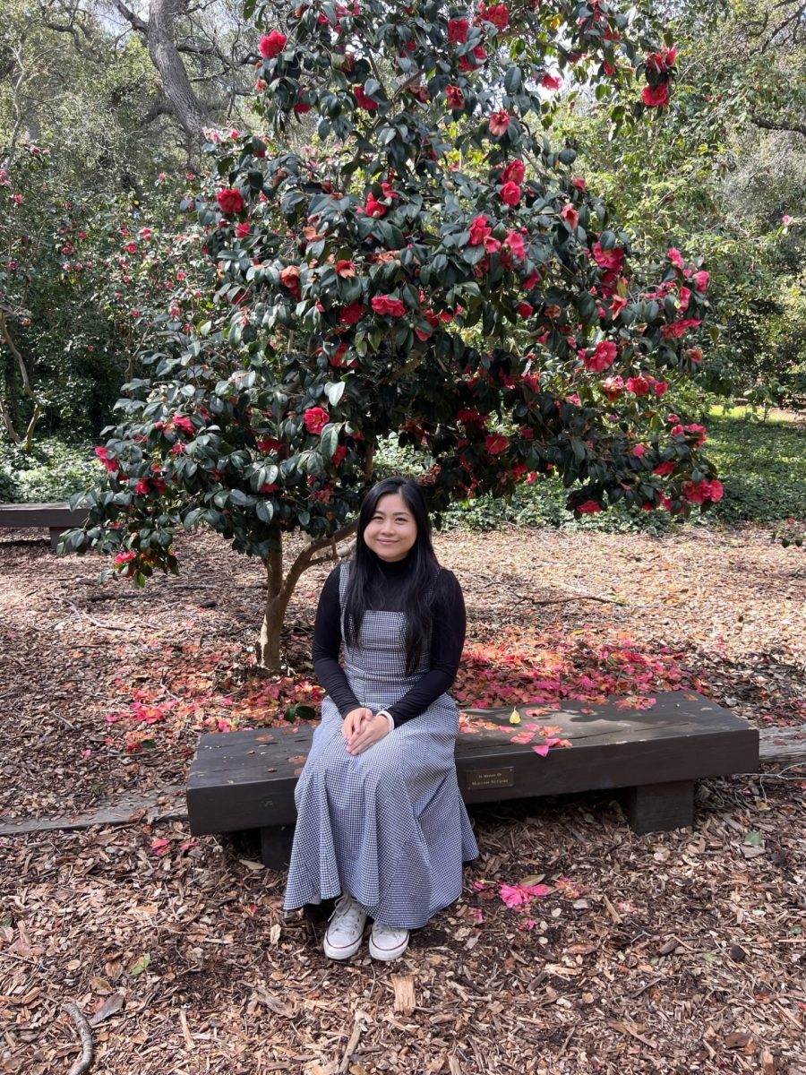 In the perilous high school journey, all students have to encounter the most feared subject of them all: chemistry. At Ayala, Ms. Teresa Phong guides the students to success through her hard work and kind demeanor.
