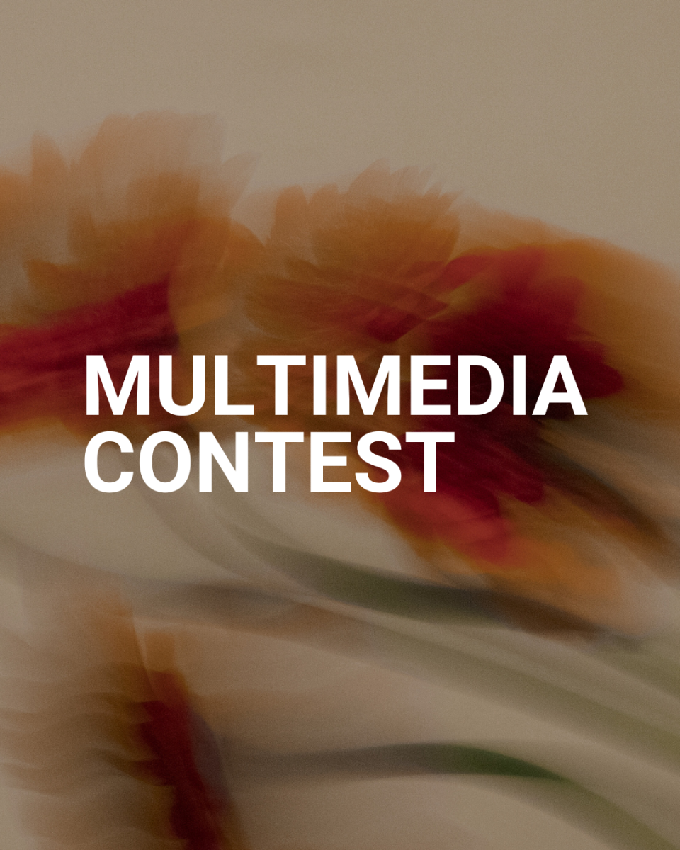 The results of the 2026 Multimedia Contest with the theme: Dreams.
