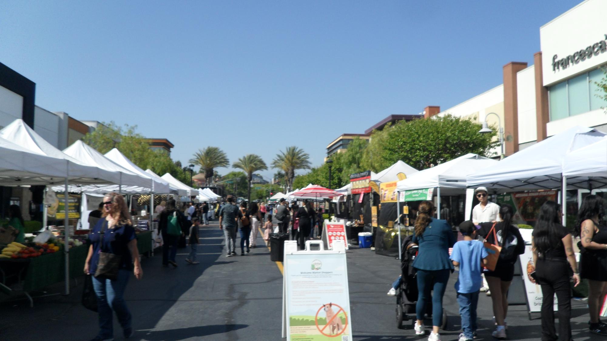 The Farmer's Market tents extend don the street, each offering their own unique and enticing product. Shoppers casually stroll, taking in the plentiful options around them.